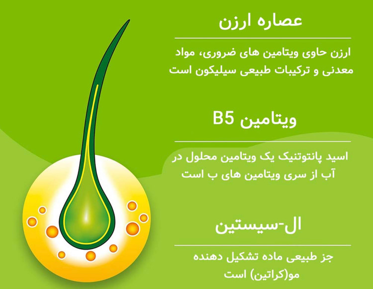 مکمل پریورین بایر آلمان اورجینال
